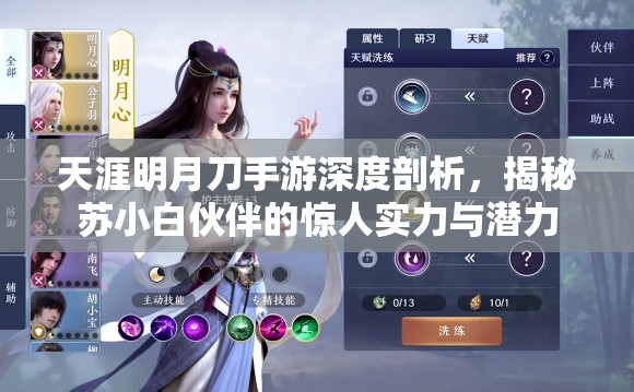 天涯明月刀手游深度剖析，揭秘苏小白伙伴的惊人实力与潜力