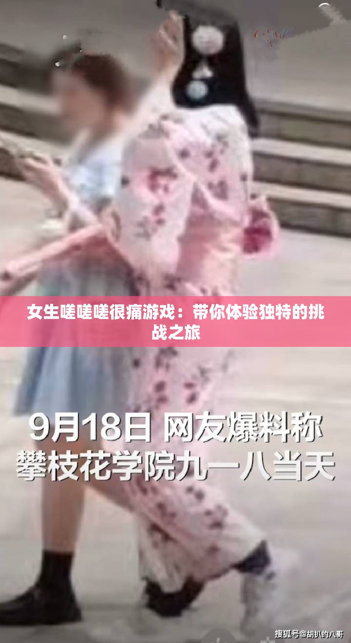 女生嗟嗟嗟很痛游戏：带你体验独特的挑战之旅