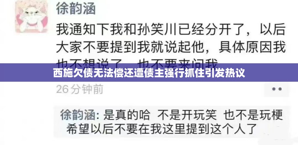 西施欠债无法偿还遭债主强行抓住引发热议