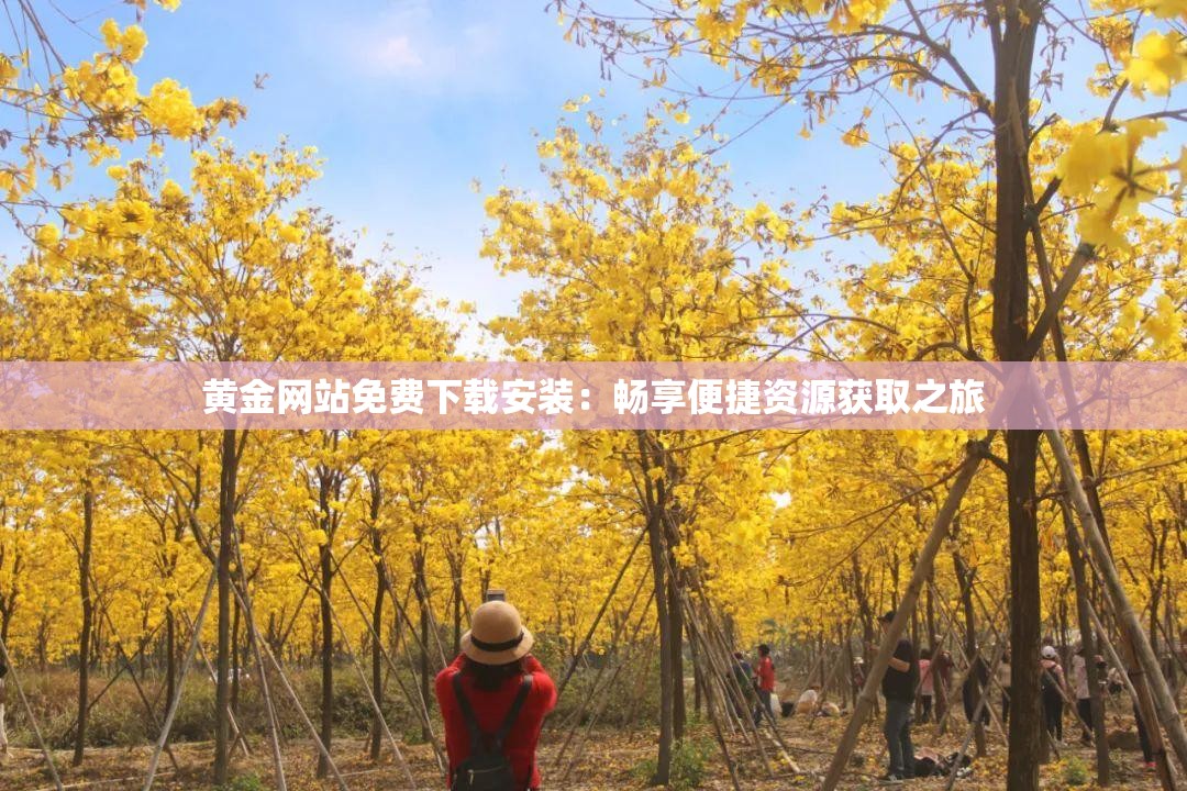 黄金网站免费下载安装：畅享便捷资源获取之旅