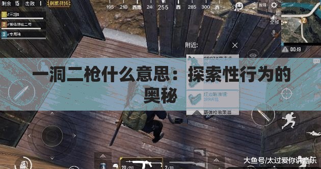 一洞二枪什么意思：探索性行为的奥秘