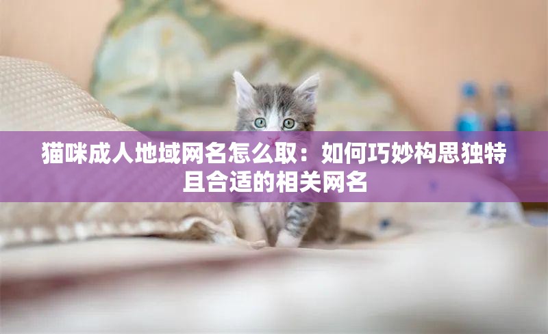 猫咪成人地域网名怎么取：如何巧妙构思独特且合适的相关网名