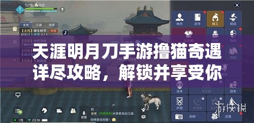 天涯明月刀手游撸猫奇遇详尽攻略，解锁并享受你的独特萌宠养成之旅