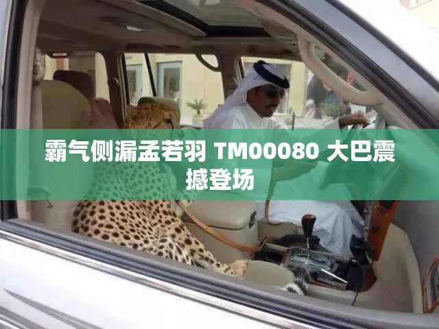 霸气侧漏孟若羽 TM00080 大巴震撼登场