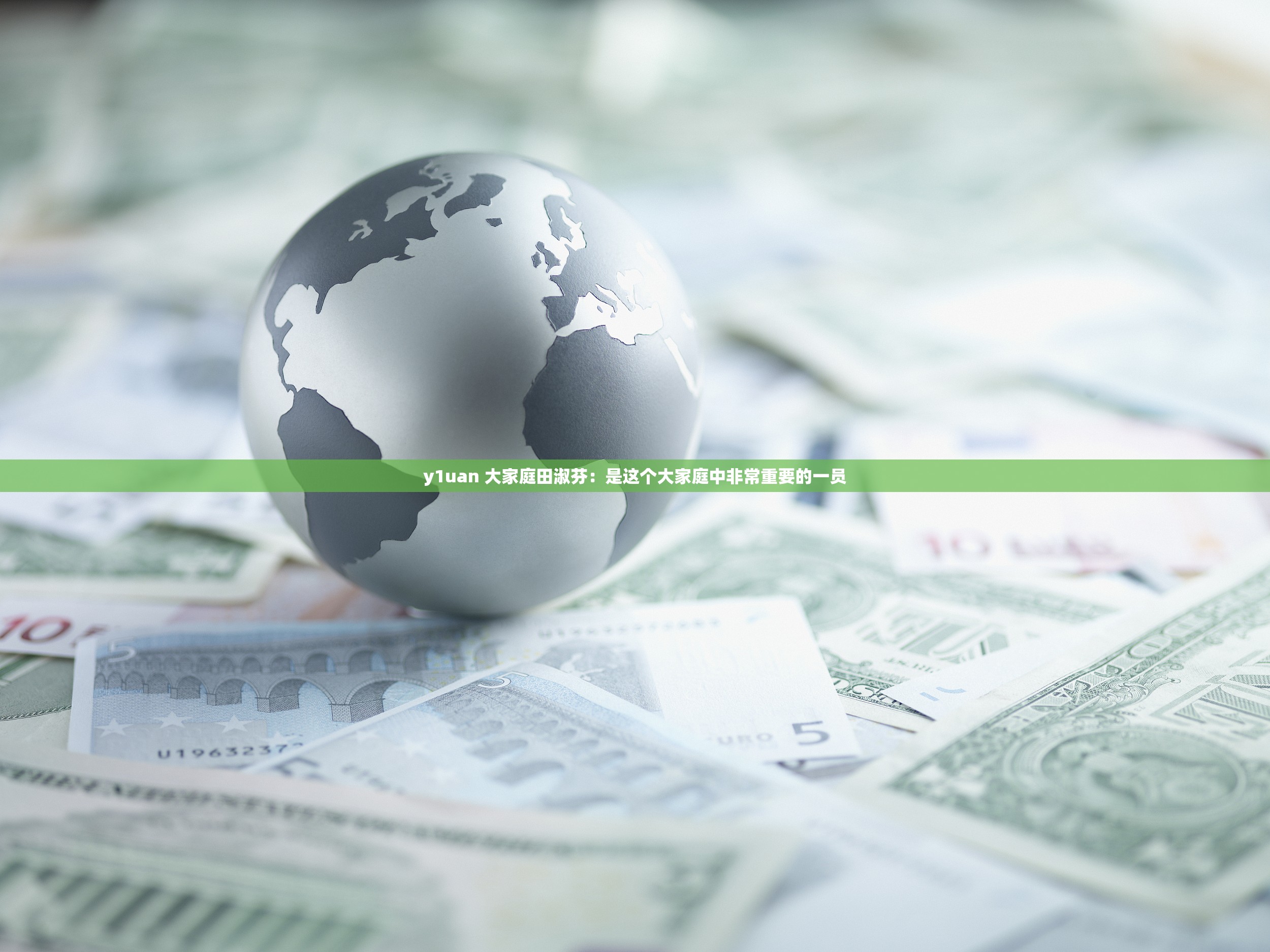 y1uan 大家庭田淑芬：是这个大家庭中非常重要的一员