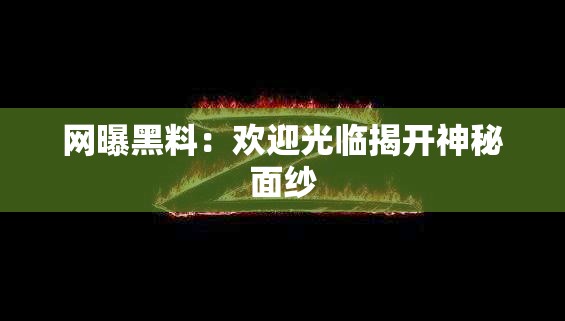 网曝黑料：欢迎光临揭开神秘面纱