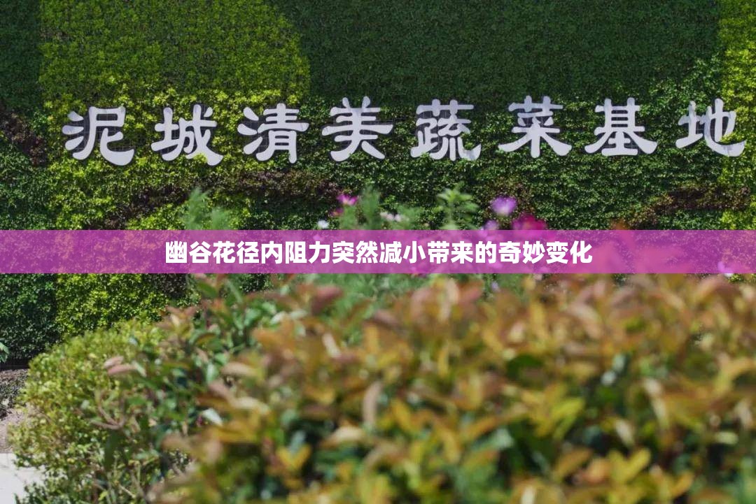 幽谷花径内阻力突然减小带来的奇妙变化