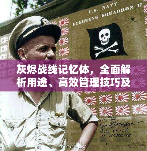 灰烬战线记忆体，全面解析用途、高效管理技巧及资源价值最大化策略