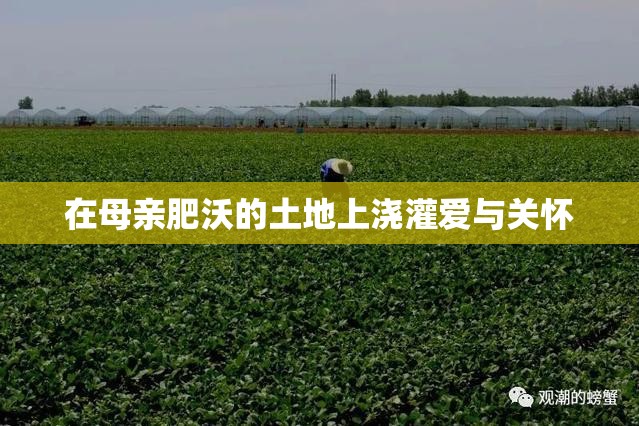 在母亲肥沃的土地上浇灌爱与关怀