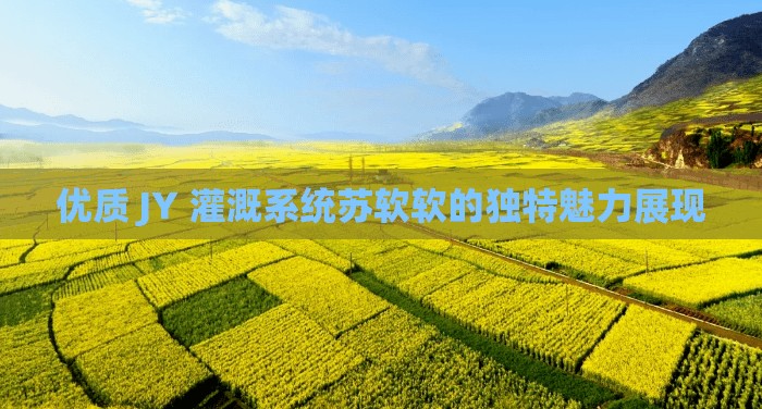 优质 JY 灌溉系统苏软软的独特魅力展现
