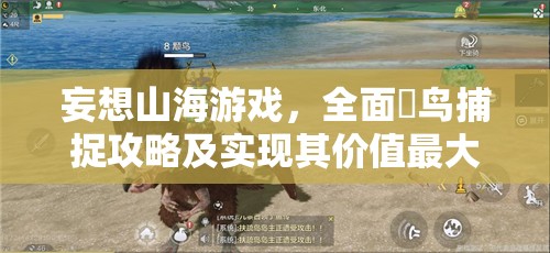妄想山海游戏，全面颙鸟捕捉攻略及实现其价值最大化的策略解析