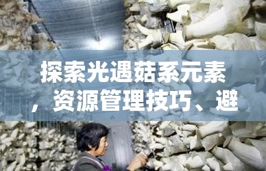 探索光遇菇系元素，资源管理技巧、避免浪费策略及最大化价值指南
