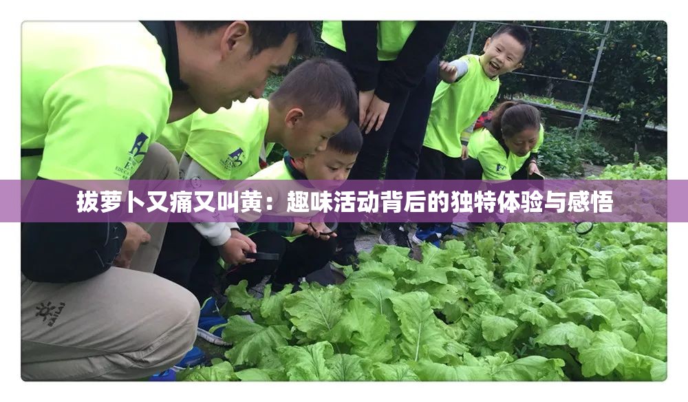 拔萝卜又痛又叫黄：趣味活动背后的独特体验与感悟