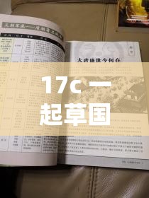17c 一起草国卢：探寻历史风云中的独特故事