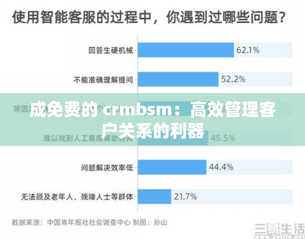 成免费的 crmbsm：高效管理客户关系的利器