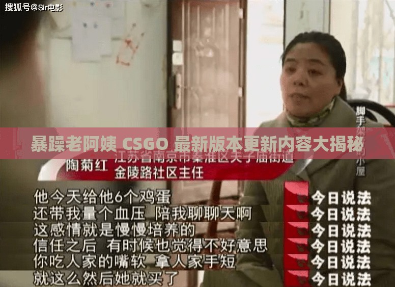 暴躁老阿姨 CSGO 最新版本更新内容大揭秘
