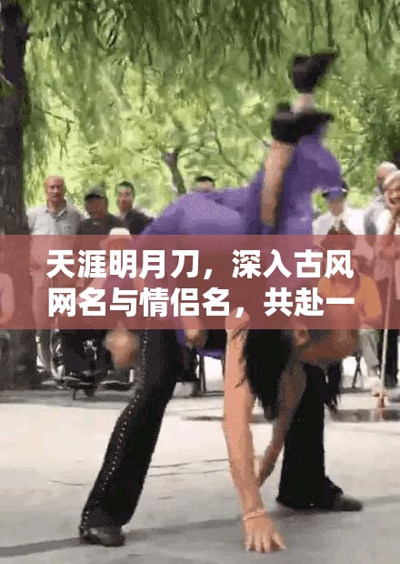 天涯明月刀，深入古风网名与情侣名，共赴一场诗意盎然的江湖之旅