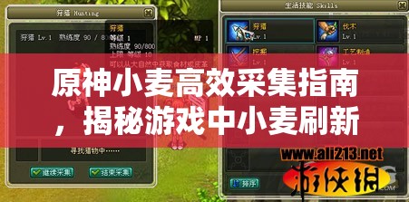 原神小麦高效采集指南，揭秘游戏中小麦刷新量最大的热门地点