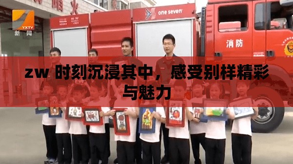 zw 时刻沉浸其中，感受别样精彩与魅力