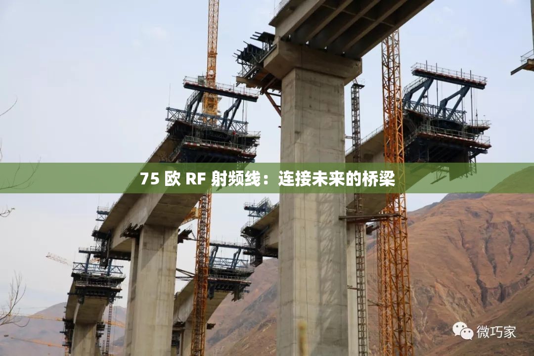 75 欧 RF 射频线：连接未来的桥梁