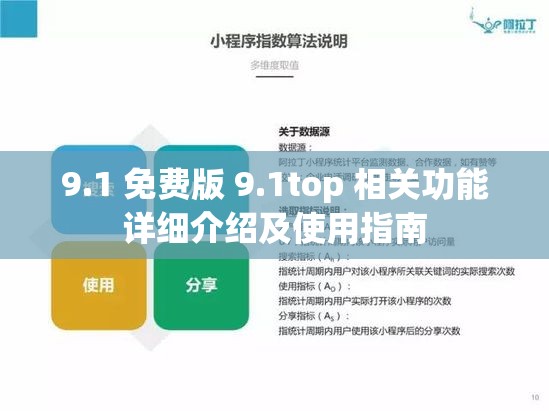 9.1 免费版 9.1top 相关功能详细介绍及使用指南