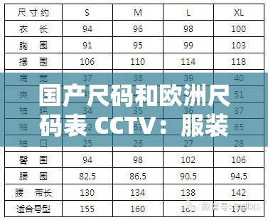 国产尺码和欧洲尺码表 CCTV：服装选购的实用指南