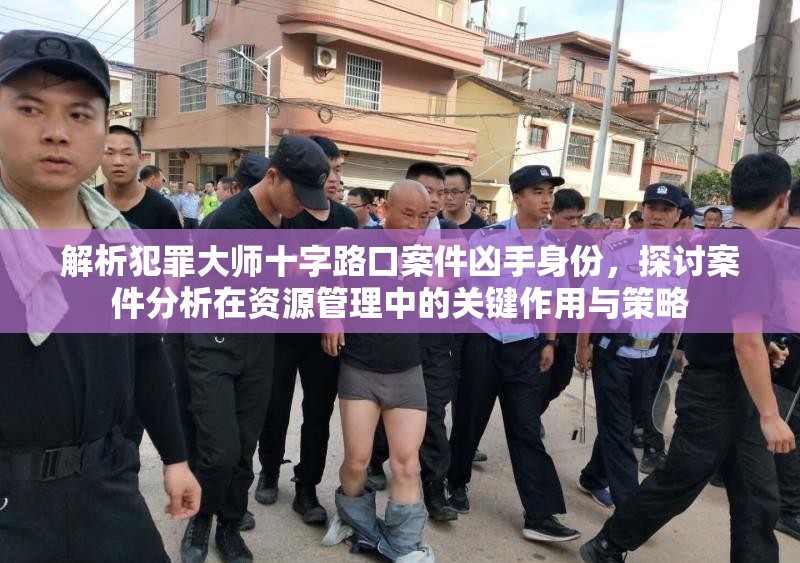 解析犯罪大师十字路口案件凶手身份，探讨案件分析在资源管理中的关键作用与策略