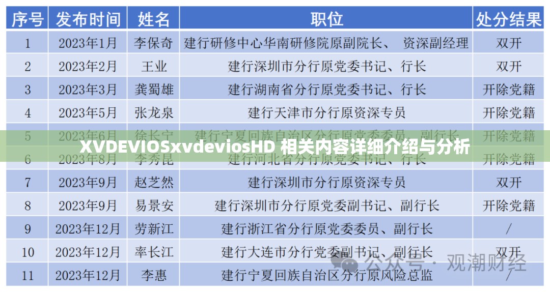 XVDEVIOSxvdeviosHD 相关内容详细介绍与分析