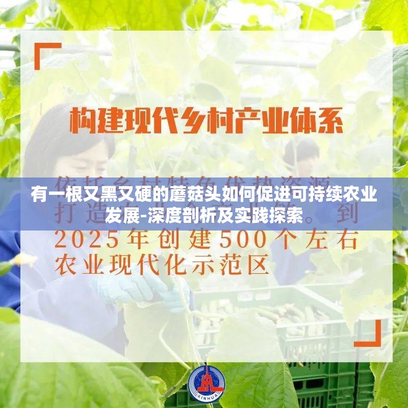 有一根又黑又硬的蘑菇头如何促进可持续农业发展-深度剖析及实践探索