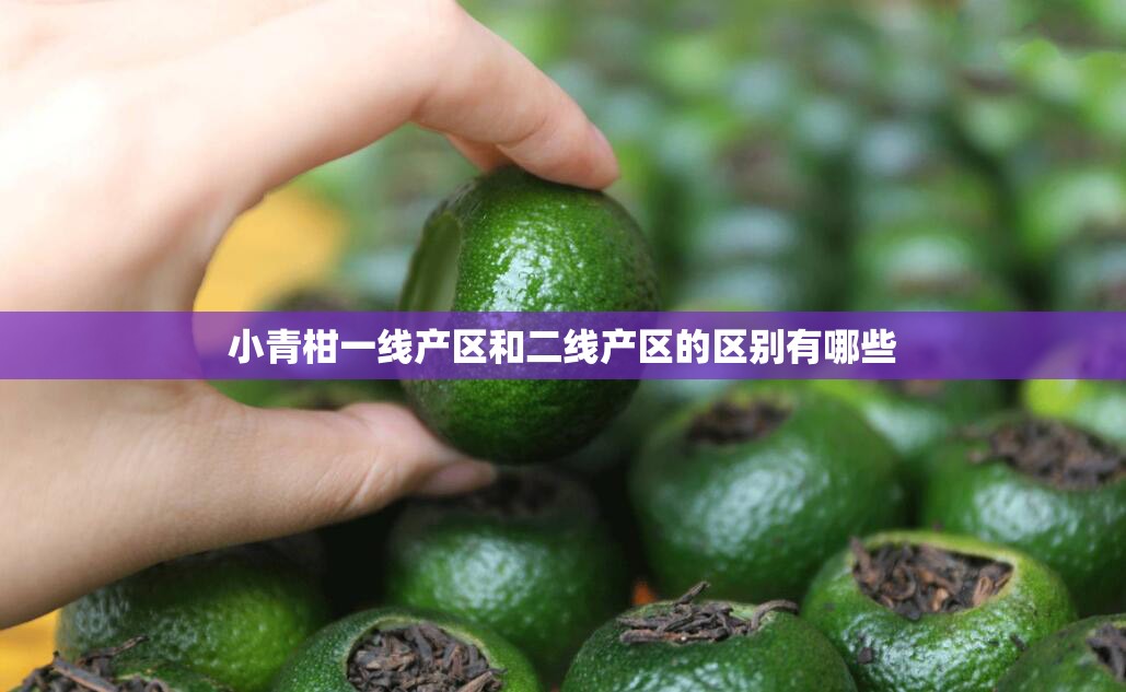 小青柑一线产区和二线产区的区别有哪些
