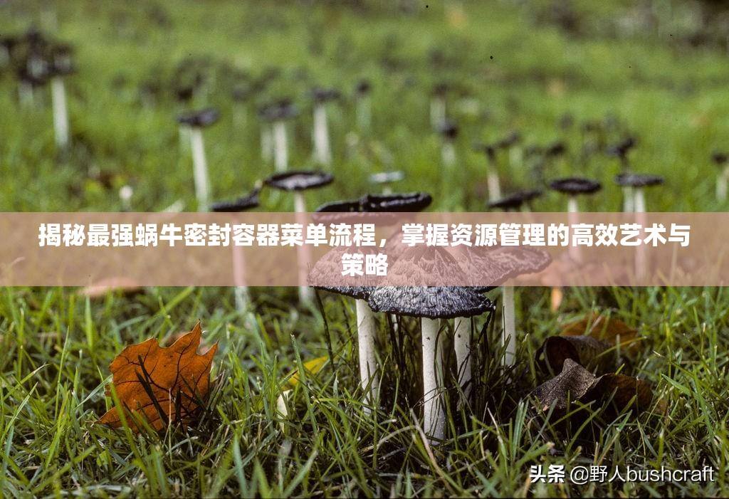 揭秘最强蜗牛密封容器菜单流程，掌握资源管理的高效艺术与策略