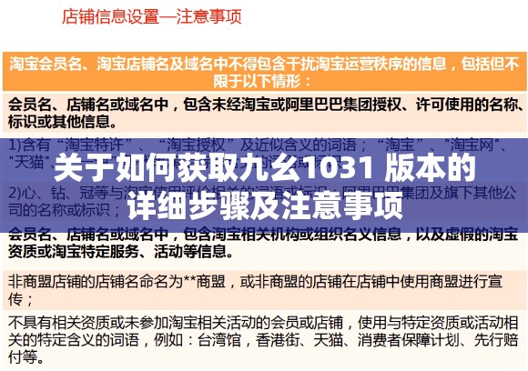 关于如何获取九幺1031 版本的详细步骤及注意事项