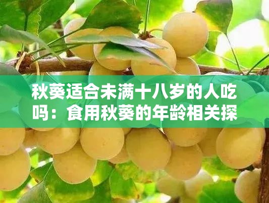 秋葵适合未满十八岁的人吃吗：食用秋葵的年龄相关探讨