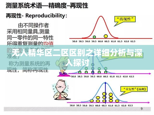 无人精华区二区区别之详细分析与深入探讨