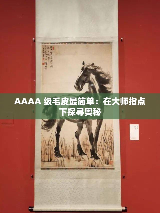AAAA 级毛皮最简单：在大师指点下探寻奥秘