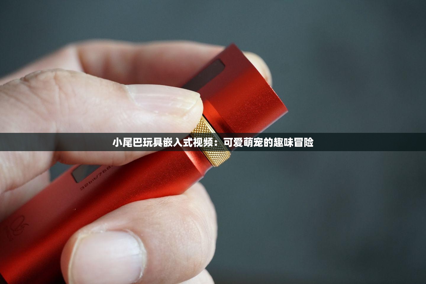 小尾巴玩具嵌入式视频：可爱萌宠的趣味冒险