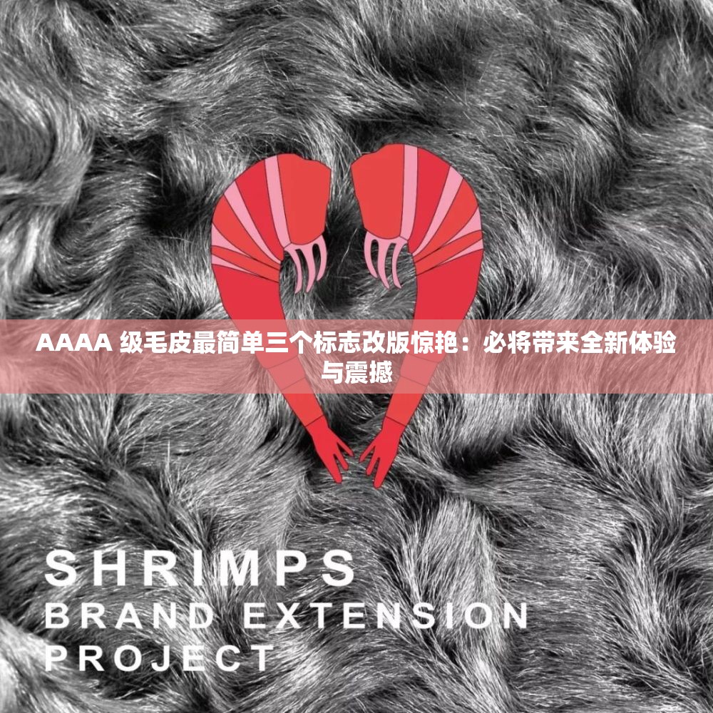 AAAA 级毛皮最简单三个标志改版惊艳：必将带来全新体验与震撼