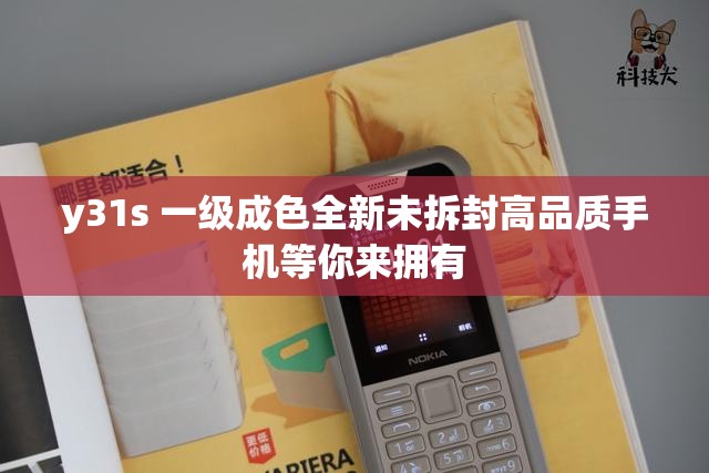 y31s 一级成色全新未拆封高品质手机等你来拥有