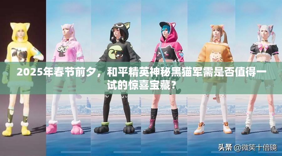 2025年春节前夕，和平精英神秘黑猫军需是否值得一试的惊喜宝藏？