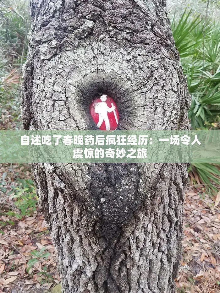 自述吃了春晚药后疯狂经历：一场令人震惊的奇妙之旅