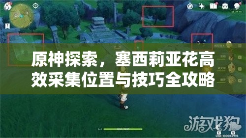 原神探索，塞西莉亚花高效采集位置与技巧全攻略