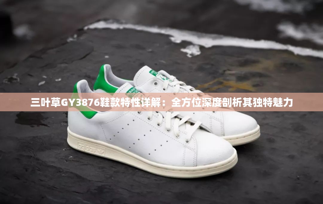 三叶草GY3876鞋款特性详解：全方位深度剖析其独特魅力
