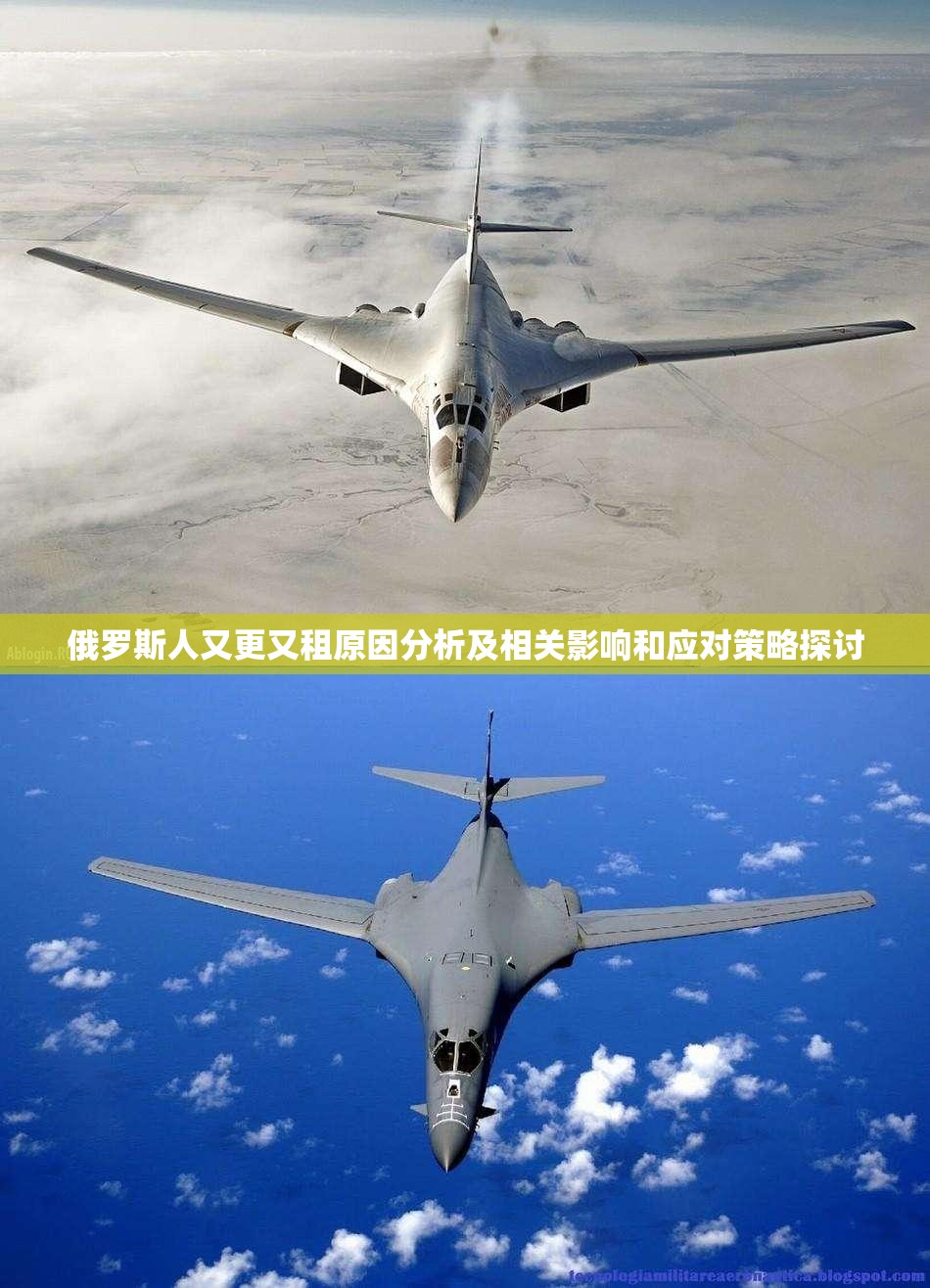 俄罗斯人又更又租原因分析及相关影响和应对策略探讨