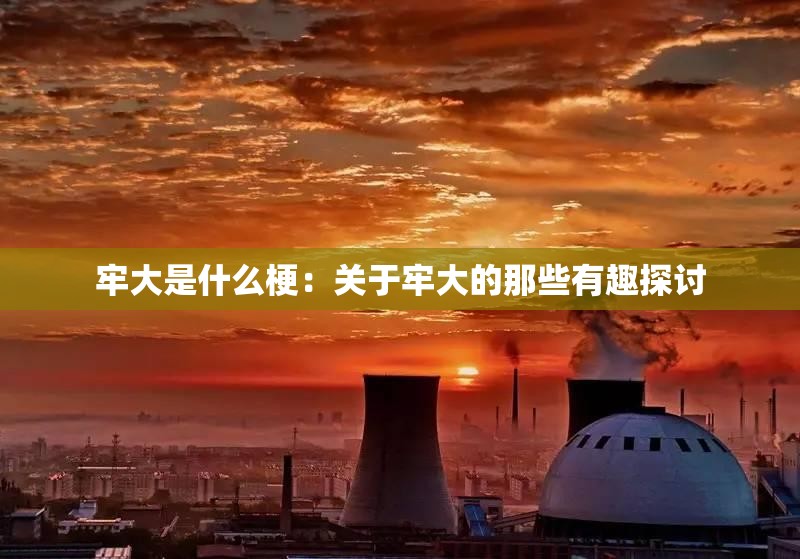 牢大是什么梗：关于牢大的那些有趣探讨