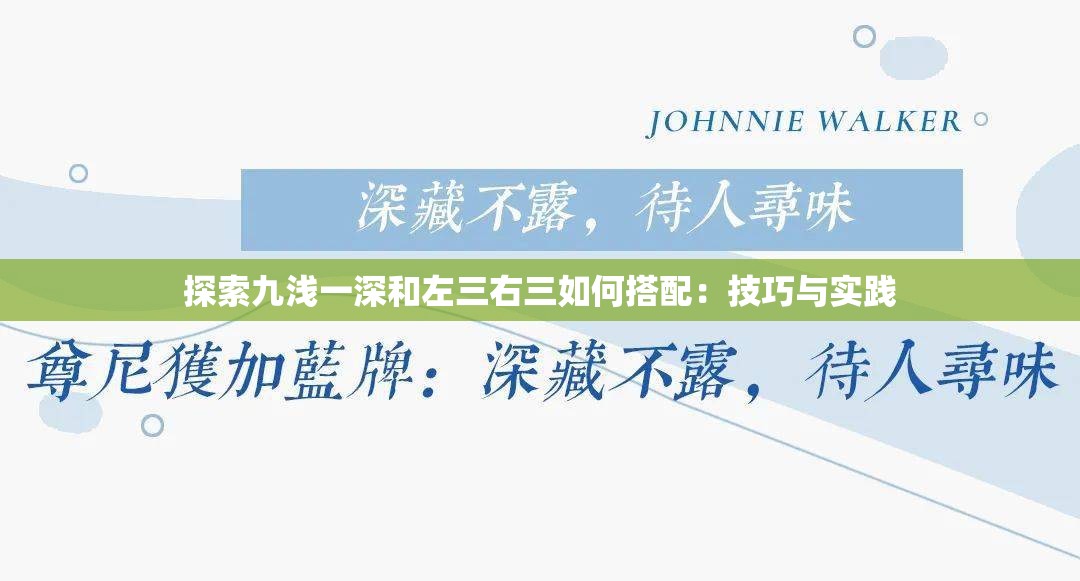 探索九浅一深和左三右三如何搭配：技巧与实践