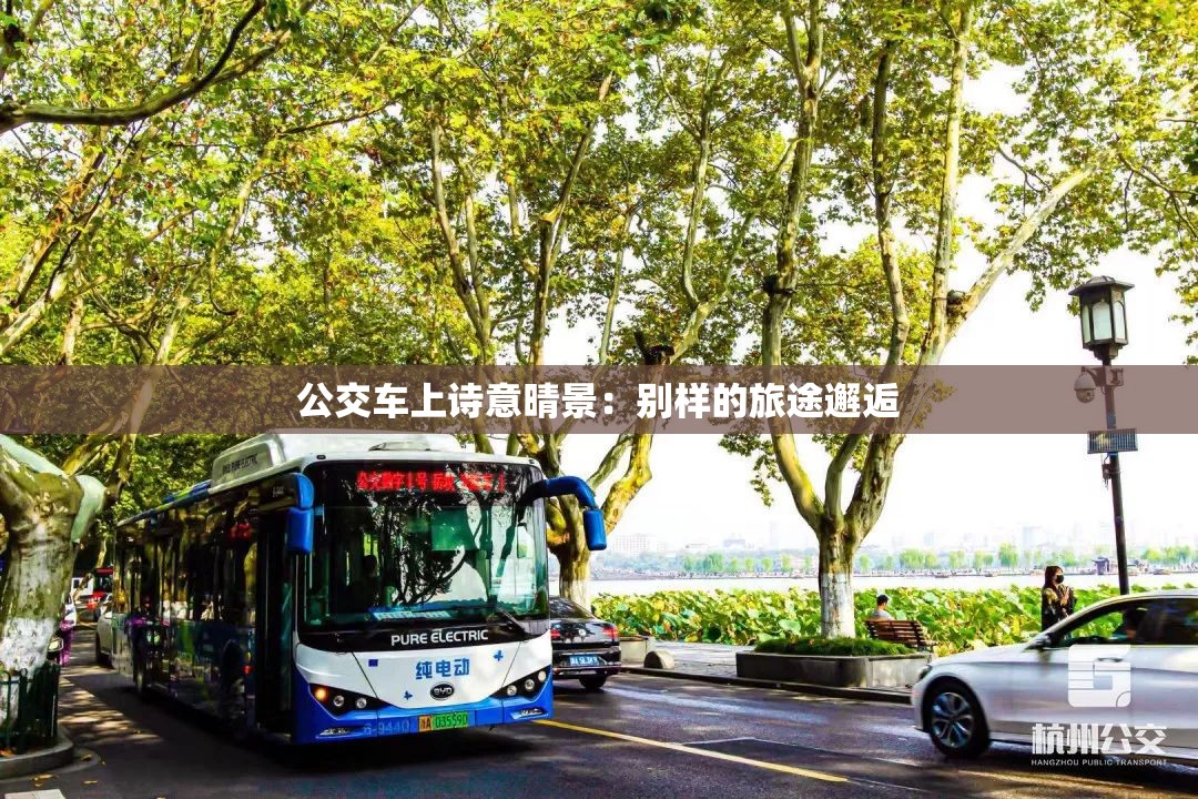 公交车上诗意晴景：别样的旅途邂逅