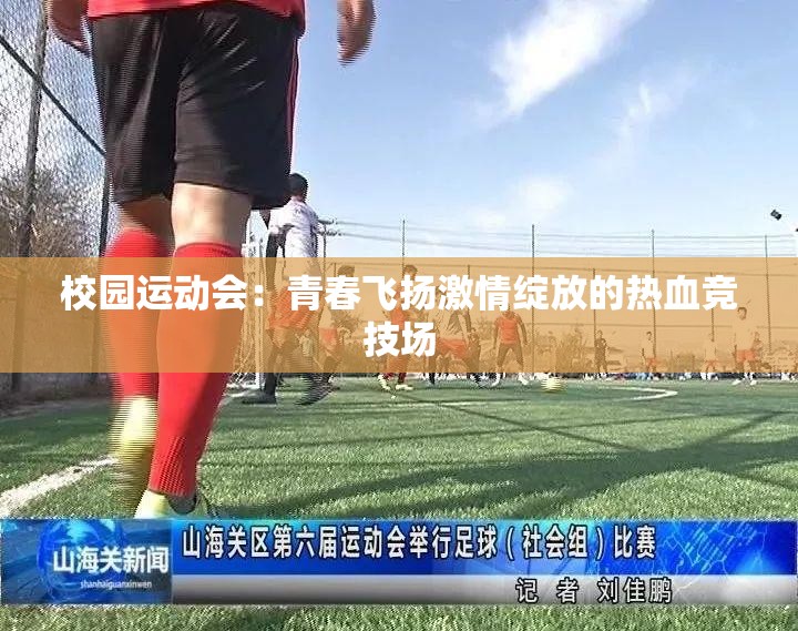 校园运动会：青春飞扬激情绽放的热血竞技场
