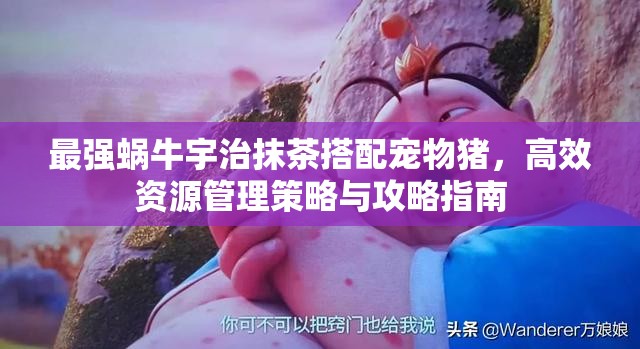 最强蜗牛宇治抹茶搭配宠物猪，高效资源管理策略与攻略指南