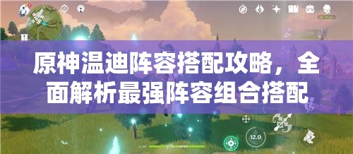 原神温迪阵容搭配攻略，全面解析最强阵容组合搭配技巧