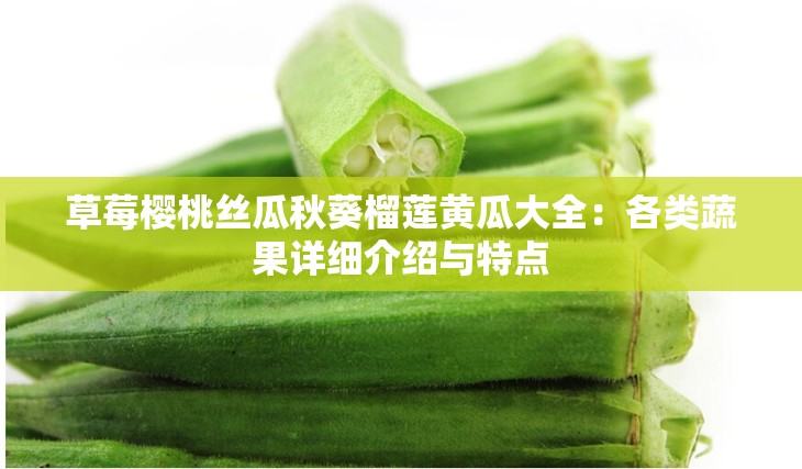 草莓樱桃丝瓜秋葵榴莲黄瓜大全：各类蔬果详细介绍与特点